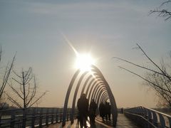 -大兴滨河森林公园