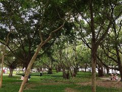 -深圳湾公园(南山区)