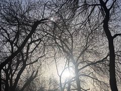 -白水寺森林公园