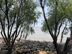 -上海吴淞炮台湾国家湿地公园