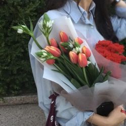-小梨·OndaPro·专业脱毛连锁机构