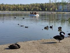 -长春市南湖公园