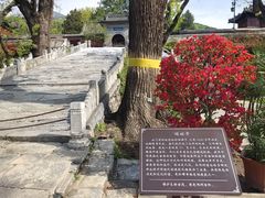 -红螺寺