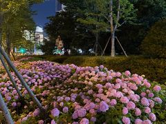 -青岛海滨风景区