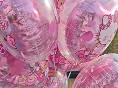 -安吉Hello Kitty乐园