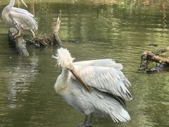 -济南野生动物世界