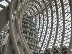 -凤凰中心