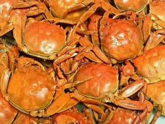 -蟹道河蟹大米商行