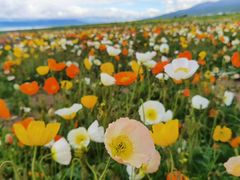 -青海湖国家重点风景名胜区