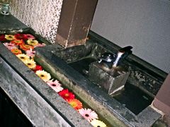 -花马天堂云南餐厅 Lost Heaven(高邮路店)