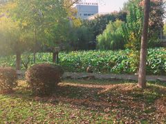 -武汉交通职业学院