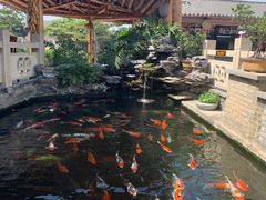 -顺德了能馆(虎门店)