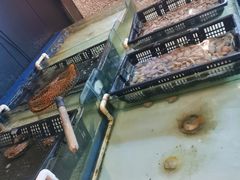 -牛品福潮汕牛肉火锅(旺庄店)