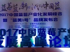 -诸暨耀江开元名都大酒店