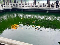 -惠州西湖丰渚园