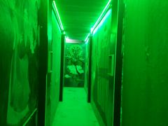 -MOJO密室逃脱(中街旗舰店)