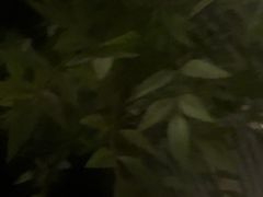 -华夏良子·足道SPA艾灸(图书大厦店)