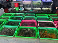 -众味海鲜大排档·活海鲜·潮汕味(南澳店)