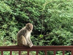 -黔灵山公园-南门售票处