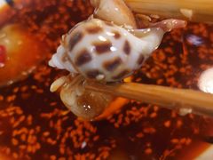 -金龙·打边炉(南京西路店)