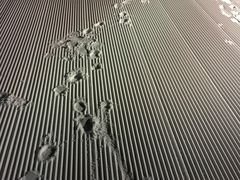 -长白山万达国际滑雪场
