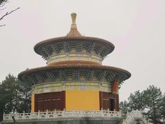 -铁山坪森林公园