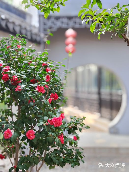 苏州严家花园图片