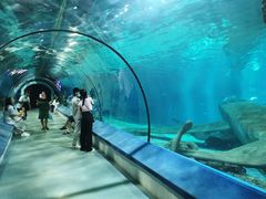 -福州罗源湾海洋世界旅游区