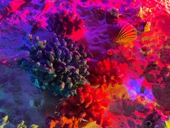 -石林冰雪海洋世界