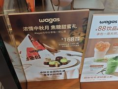 -Wagas沃歌斯(汇智店)