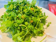 -No.DD戳子烧烤·江湖菜(北京总店)