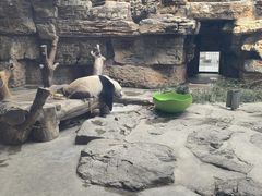 -石家庄市动物园