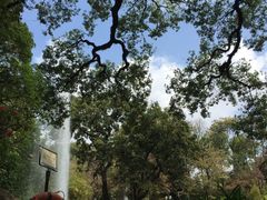 -九龙公园