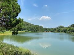 -东莞植物园