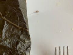 -深圳滨河时代ICON LAB艾垦酒店