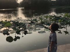 -新江湾城公园