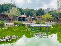 -晋江五店市传统文化旅游区