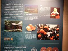 -台州博物馆