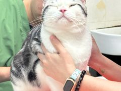 -瑞鹏·疫苗·绝育·宠物医院(金沙洲店)