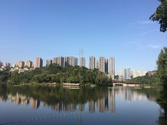 -重庆彩云湖湿地公园