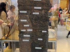 -南越王博物院(王宫展区)
