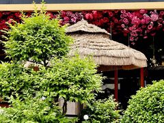 -成都娃娃花园餐厅 (南艺旗舰店)