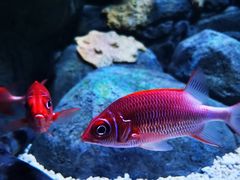 -成都浩海立方海洋公园