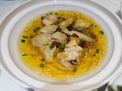 -月湖翠·上海菜(思南公馆淮海店)