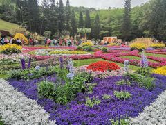 -深圳仙湖植物园