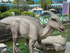 -海合安武汉极地海洋公园
