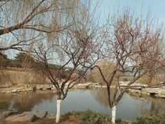 -北京西山国家森林公园