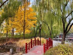-玲珑塔公园