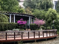 -成飞公园