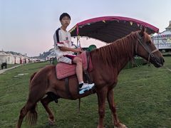 -关山牧场王师烤全羊